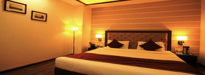 1738/Naeeka Hotel - Ahmedabad 10.jpg